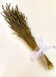 Dried Lavender Bunch 