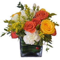 Zesty Citrus Zesty Citrus