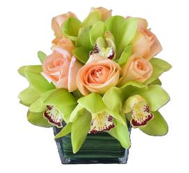 Peaches And Green Peaches And Green